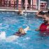 Nuevas evidencias sobre la enseñanza de la natación a personas con discapacidad